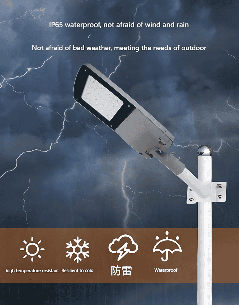 英文详情 (4)